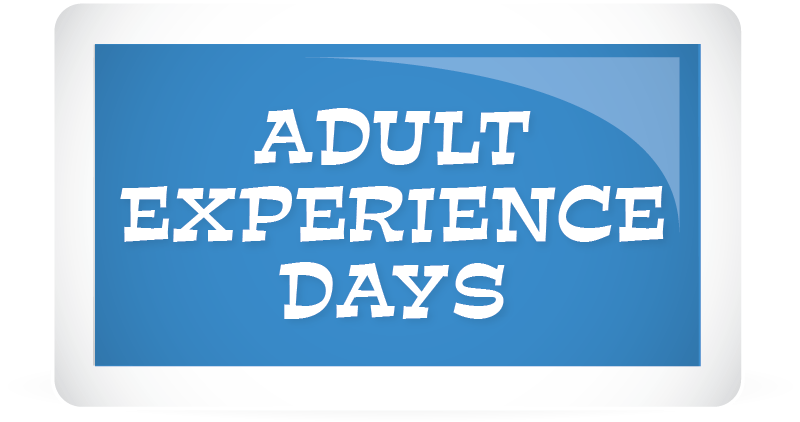 Adult Experience Days Button at Diggerland